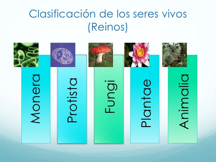 La biologia