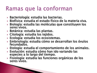 Bacteriología: estudia las bacterias.Biofísica: estudia el estado físico de la materia viva.Biología: estudia las moléculas que constituyen los seres vivos.Botánica: estudia las plantas.Citología: estudia los tejidos.Ecología: estudia los ecosistemas.Embriología: estudia cómo se desarrollan los óvulos fecundados.Etología: estudia el comportamiento de los animales.Evolución: estudia cómo han ido variando las especies a lo largo del tiempo.Fisiología: estudia las funciones orgánicas de los seres vivos.Ramas que la conforman