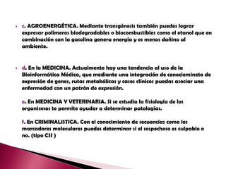 c. AGROENERGÉTICA. Mediante transgénesis también puedes lograr expresar polímeros biodegradables o biocombustibles como el etanol que en combinación con la gasolina genera energía y es menos dañino al ambiente.d. En la MEDICINA. Actualmente hay una tendencia al uso de la Bioinformática Médica, que mediante una integración de conociemineto de expresión de genes, rutas metabólicas y casos clínicos puedas asociar una enfermedad con un patrón de expresión. e. En MEDICINA Y VETERINARIA. Si se estudia la fisiología de los organismos te permite ayudar a determinar patologías.f. En CRIMINALISTICA. Con el conocimiento de secuencias como los marcadores moleculares puedes determinar si el sospechoso es culpable o no. (tipo CSI )