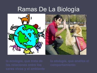Ramas De La Biologíala histología, que estudia su estructura microscópica.la embriología, que sigue el proceso del desarrollo de los animales