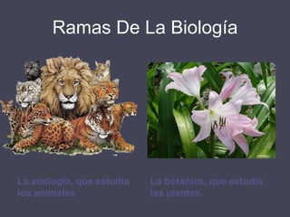 Propósitos De La biología3. Estudiar las funciones que éstos realizan4. Seguir el proceso de su evolución5. Llegar al conocimiento de su origen.