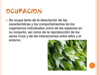 OCUPACION
   Se ocupa tanto de la descripción de las
    características y los comportamientos de los
    organismos individuales como de las especies en
    su conjunto, así como de la reproducción de los
    seres vivos y de las interacciones entre ellos y el
    entorno.
 