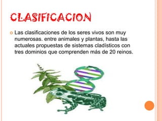 CLASIFICACION
   Las clasificaciones de los seres vivos son muy
    numerosas. entre animales y plantas, hasta las
    actuales propuestas de sistemas cladísticos con
    tres dominios que comprenden más de 20 reinos.
 