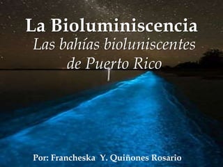 La Bioluminiscencia
Por: Francheska Y. Quiñones Rosario
Las bahías bioluniscentes
de Puerto Rico
 