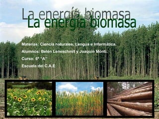 La energía biomasa  Materias: Ciencia naturales, Lengua e Informática. Alumnos: Belén Leneschmit y Joaquín Monti. Curso: 6º “A” Escuela del C.A.E 