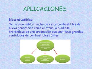 APLICACIONES
Biocombustibles:
• Se ha oído hablar mucho de estos combustibles de
nueva generación como el etanol o biodiesel,
tratándose de una producción que sustituye grandes
cantidades de combustibles fósiles.
 