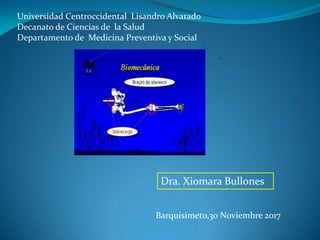 Universidad Centroccidental Lisandro Alvarado
Decanato de Ciencias de la Salud
Departamento de Medicina Preventiva y Social
Dra. Xiomara Bullones
Barquisimeto,30 Noviembre 2017
 
