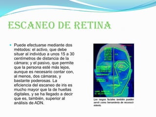 ESCANEO DE RETINAPuede efectuarse mediante dos métodos: el activo, que debe situar al individuo a unos 15 a 30 centímetros de distancia de la cámara; y el pasivo, que permite que la persona esté más lejos, aunque es necesario contar con, al menos, dos cámaras, y bastante poderosas. La eficiencia del escaneo de iris es mucho mayor que la de huellas digitales, y se ha llegado a decir que es, también, superior al análisis de ADN.
