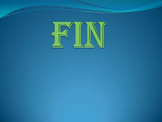 FIN
