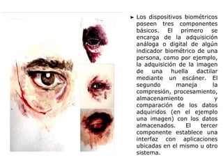 ➤ Los dispositivos biométricos
poseen tres componentes
básicos. El primero se
encarga de la adquisición
análoga o digital de algún
indicador biométrico de una
persona, como por ejemplo,
la adquisición de la imagen
de una huella dactilar
mediante un escáner. El
segundo maneja la
compresión, procesamiento,
almacenamiento y
comparación de los datos
adquiridos (en el ejemplo
una imagen) con los datos
almacenados. El tercer
componente establece una
interfaz con aplicaciones
ubicadas en el mismo u otro
sistema.
 