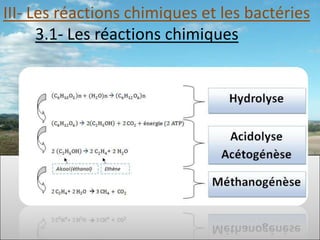 III- Les réactions chimiques et les bactéries
      3.1- Les réactions chimiques
 