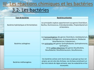 III- Les réactions chimiques et les bactéries
      3.2- Les bactéries
             Type de bactéries                                    Bactéries présentes

                                             Les principales espèces appartiennent aux genres Clostridium,
  Bactéries hydrolytiques et fermentatives   Bacillus, Ruminococcus, Enterobacteroïdes, Propionibacterium
                                                                      et Butivibrio.




                                             -Les homoacétogènes des genres Clostridium, Acetobacterium,
                                                Sporomusa, Acetogenium, Acetoanaerobicum, Pelobacter
                                                              Butyribacterium, Eubacterium...
           Bactéries acétogènes              -Les syntrophes des genres Syntrophobacter, Syntrophomonas,
                                                                       Syntrophus...
                                                    -Et les sulfato-réductrices des genres Desulfovibrio,
                                                   Desulfobacter, Desulfotomaculum, Desulfomonas...



                                             Ces bactéries actives sont réunis dans un groupe qui leur est
                                             propre, qui est celui des Archaea. Les Archaea constituent un
         Bactéries méthanogènes
                                             des trois statuts de règne primaire, avec les eubactéries et les
                                                                       eucaryotes.
 