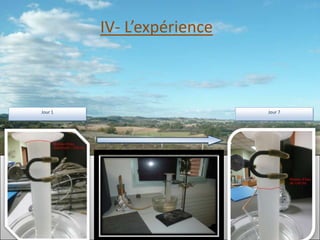 IV- L’expérience



Jour 1                      Jour 7
 