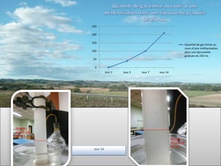 250

200

150
                                                Quantité de gaz émise au
                                                cours d'une méthanisation
100                                             dans une éprouvette
                                                graduée de 250 mL
 50

  0
           Jour 1   Jour 3   Jour 7   Jour 14




 Jour 14
 