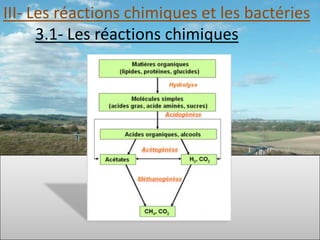 III- Les réactions chimiques et les bactéries
      3.1- Les réactions chimiques
 
