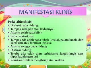 Pada labio skisis:
 Distrosi pada hidung
 Tampak sebagian atau keduanya
 Adanya celah pada bibir
 Pada palatoskisis:
 Tampak ada celah pada tekak (uvula), palato lunak, dan
keras dan atau foramen incisive.
 Adanya rongga pada hidung
 Distrosi hidung
 Teraba ada celah atau terbukanya langit-langit saat
diperiksa dengan jari
 Kesukaran dalam menghisap atau makan
 