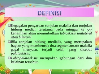 Kegagalan penyatuan tonjolan maksila dan tonjolan
hidung medial terutama pada minggu ke 5-7
kehamilan akan menimbulkan labioskisis unilateral
atau bilateral
Bila tonjolan hidung medialis, yang merupakan
bagian yang membentuk dua segmen antara maksila
gagal menyatu, terjadi celah yang disebut
palatoskisis.
Labiopalatoskisis merupakan gabungan dari dua
kelainan tersebut.
 