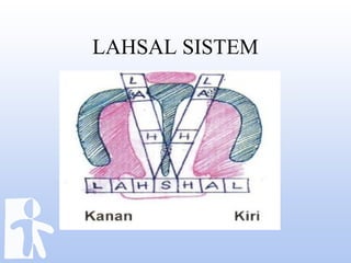 LAHSAL SISTEM
 