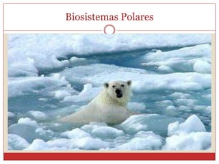 Biosistemas Polares
 