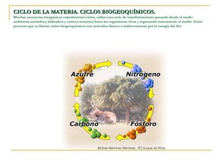 CICLO DE LA MATERIA. CICLOS BIOGEOQUÍMICOS.
Muchas sustancias inorgánicas experimentan ciclos, sufren una serie de transformaciones pasando desde el medio
ambiente( atmósfera, hidrosfera y corteza terrestre) hasta los organismos vivos y regresando nuevamente al medio. Estos
procesos que se llaman ciclos biogeoquímicos son activados directa o indirectamente por la energía del Sol.
 