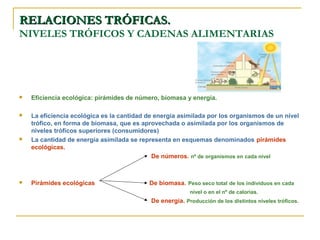 RELACIONES TRÓFICAS.
NIVELES TRÓFICOS Y CADENAS ALIMENTARIAS




   Eficiencia ecológica: pirámides de número, biomasa y energía.

   La eficiencia ecológica es la cantidad de energía asimilada por los organismos de un nivel
    trófico, en forma de biomasa, que es aprovechada o asimilada por los organismos de
    niveles tróficos superiores (consumidores)
   La cantidad de energía asimilada se representa en esquemas denominados pirámides
    ecológicas.
                                             De números. nº de organismos en cada nivel



   Pirámides ecológicas                   De biomasa. Peso seco total de los individuos en cada
                                                          nivel o en el nº de calorías.
                                            De energía. Producción de los distintos niveles tróficos.
 