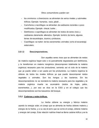 42
Otros consumidores pueden ser:
- los omnívoros o diversívoros se alimentan de varios niveles y subniveles
tróficos. Ejemplo: humanos, osos, jabalí…
- Carroñeros o necrófagos se alimentan de cadáveres recientes o poco
modificados. Ejemplo: chacal, buitre…
- Detritívoros o saprófagos se alimentan de restos de seres vivos y
cadáveres claramente alterados. Ejemplo: lombriz de tierra, algunas
larvas de escarabajos, ácaros y protozoos.
- Coprófagos: se nutren de los excrementos animales como el escarabajo
estercolero.
3.5.1,3 Descomponedores.
Son aquellos seres vivos que se alimentan de restos
de materia orgánica hayan sido o no parcialmente degradados por detritívoros,
y la transforman en materia inorgánica (descomponen totalmente la materia
orgánica) necesaria para los productores, cerrando así el ciclo de la materia
que ya puede volver a ser usada por los productores. La materia orgánica la
obtiene de todos los niveles tróficos ya que puede descomponer restos
vegetales o animales. Son los hongos y las bacterias. Sin los
descomponedores no se reciclaría la materia necesaria para los vegetales y la
materia orgánica muerta se acumularía (restos de hojas, pelos,
excrementos…), por eso se dice en la ESO y en el colegio que los
descomponedores son los basureros del bosque.
3.5.2 Cadenas y redes tróficas.
La hierba obtiene su energía y fabrica materia
usando la energía solar, el conejo que se alimenta de hierba obtiene materia y
energía de la hierba, y a su vez el zorro que se come el conejo, obtiene materia
y energía del conejo. Esta relación nutritiva lineal se llama cadena trófica y es la
 