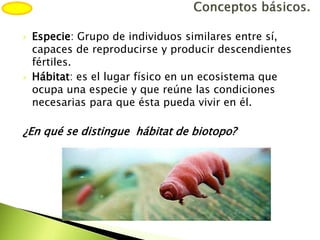  Especie: Grupo de individuos similares entre sí,
capaces de reproducirse y producir descendientes
fértiles.
 Hábitat: es el lugar físico en un ecosistema que
ocupa una especie y que reúne las condiciones
necesarias para que ésta pueda vivir en él.
¿En qué se distingue hábitat de biotopo?
 