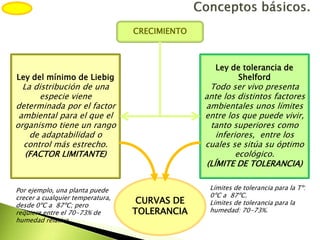 CURVAS DE
TOLERANCIA
CRECIMIENTO
Ley del mínimo de Liebig
La distribución de una
especie viene
determinada por el factor
ambiental para el que el
organismo tiene un rango
de adaptabilidad o
control más estrecho.
(FACTOR LIMITANTE)
Ley de tolerancia de
Shelford
Todo ser vivo presenta
ante los distintos factores
ambientales unos límites
entre los que puede vivir,
tanto superiores como
inferiores, entre los
cuales se sitúa su óptimo
ecológico.
(LÍMITE DE TOLERANCIA)
Por ejemplo, una planta puede
crecer a cualquier temperatura,
desde 0ºC a 87ºC; pero
requiere entre el 70-73% de
humedad relativa.
Límites de tolerancia para la Tº:
0ºC a 87ºC.
Límites de tolerancia para la
humedad: 70-73%.
 