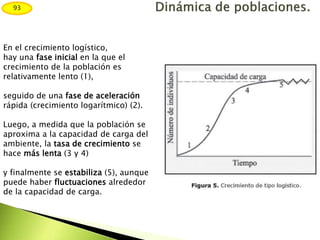En el crecimiento logístico,
hay una fase inicial en la que el
crecimiento de la población es
relativamente lento (1),
seguido de una fase de aceleración
rápida (crecimiento logarítmico) (2).
Luego, a medida que la población se
aproxima a la capacidad de carga del
ambiente, la tasa de crecimiento se
hace más lenta (3 y 4)
y finalmente se estabiliza (5), aunque
puede haber fluctuaciones alrededor
de la capacidad de carga.
93
 