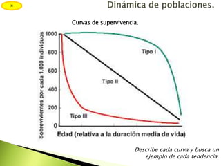 x
Curvas de supervivencia.
Describe cada curva y busca un
ejemplo de cada tendencia.
 