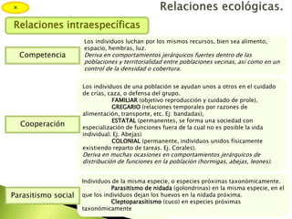 Individuos de la misma especie, o especies próximas taxonómicamente.
Parasitismo de nidada (golondrinas) en la misma especie, en el
que los individuos dejan los huevos en la nidada próxima.
Cleptoparasitismo (cuco) en especies próximas
taxonómicamente
Los individuos de una población se ayudan unos a otros en el cuidado
de crías, caza, o defensa del grupo.
FAMILIAR (objetivo reproducción y cuidado de prole),
GREGARIO (relaciones temporales por razones de
alimentación, transporte, etc. Ej: bandadas),
ESTATAL (permanentes, se forma una sociedad con
especialización de funciones fuera de la cual no es posible la vida
individual. Ej. Abejas)
COLONIAL (permanente, individuos unidos físicamente
existiendo reparto de tareas. Ej. Corales).
Deriva en muchas ocasiones en comportamientos jerárquicos de
distribución de funciones en la población (hormigas, abejas, leones).
Los individuos luchan por los mismos recursos, bien sea alimento,
espacio, hembras, luz.
Deriva en comportamientos jerárquicos fuertes dentro de las
poblaciones y territorialidad entre poblaciones vecinas, así como en un
control de la densidad o cobertura.
x
Relaciones intraespecíficas
Competencia
Cooperación
Parasitismo social
 