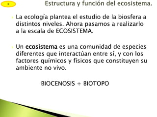  La ecología plantea el estudio de la biosfera a
distintos niveles. Ahora pasamos a realizarlo
a la escala de ECOSISTEMA.
 Un ecosistema es una comunidad de especies
diferentes que interactúan entre sí, y con los
factores químicos y físicos que constituyen su
ambiente no vivo.
BIOCENOSIS + BIOTOPO
x
 