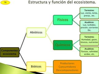 Componentes
ecosistema
Abióticos
Físicos
Terrestres:
Luz, viento, temp.,
precip., etc.
Acuáticos:
Luz, turbidez,
presión, corrientes
Etc.
Químicos
Terrestres:
Humedad, gases,
tóxicos, nutrientes
Acuáticos:
Tóxicos, salinidad,
acidez, etc.
Bióticos
Productores
Consumidores
Descomponedores
76
 