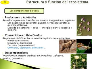  Productores o Autótrofos
Aquellos capaces de transformar materia inorgánica en orgánica.
◦ Los organismos autótrofos pueden ser fotoautótrofos o
quimioautótrofos.
◦ Dióxido de carbono + agua + energía (solar)  glucosa +
oxígeno.
 Consumidores o Heterótrofos:
No pueden sintetizar los nutrientes orgánicos que necesitan
◦ Primarios (herbívoros)
◦ Secundarios (carnívoros)
◦ Terciarios (supercarnívoros)
◦ Omnívoros, coprófagos, detritívoros…
 Descomponedores
Transforman materia orgánica en inorgánica , glucosa,
quitina, queratina…
76
Los componentes bióticos
 