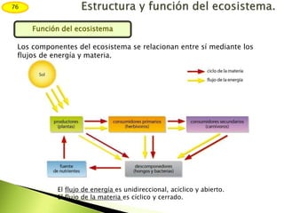 76
Función del ecosistema
Los componentes del ecosistema se relacionan entre sí mediante los
flujos de energía y materia.
El flujo de energía es unidireccional, acíclico y abierto.
El flujo de la materia es cíclico y cerrado.
 