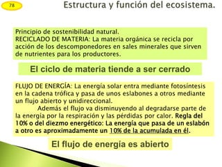 Principio de sostenibilidad natural.
RECICLADO DE MATERIA: La materia orgánica se recicla por
acción de los descomponedores en sales minerales que sirven
de nutrientes para los productores.
El ciclo de materia tiende a ser cerrado
FLUJO DE ENERGÍA: La energía solar entra mediante fotosíntesis
en la cadena trófica y pasa de unos eslabones a otros mediante
un flujo abierto y unidireccional.
Además el flujo va disminuyendo al degradarse parte de
la energía por la respiración y las pérdidas por calor. Regla del
10% o del diezmo energético: La energía que pasa de un eslabón
a otro es aproximadamente un 10% de la acumulada en él.
El flujo de energía es abierto
78
 