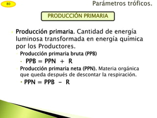  Producción primaria. Cantidad de energía
luminosa transformada en energía química
por los Productores.
◦ Producción primaria bruta (PPB)
 PPB = PPN + R
◦ Producción primaria neta (PPN). Materia orgánica
que queda después de descontar la respiración.
 PPN = PPB - R
80
PRODUCCIÓN PRIMARIA
 