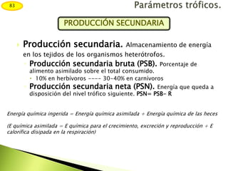  Producción secundaria. Almacenamiento de energía
en los tejidos de los organismos heterótrofos.
◦ Producción secundaria bruta (PSB). Porcentaje de
alimento asimilado sobre el total consumido.
 10% en herbívoros ---- 30-40% en carnívoros
◦ Producción secundaria neta (PSN). Energía que queda a
disposición del nivel trófico siguiente. PSN= PSB- R
83
PRODUCCIÓN SECUNDARIA
Energía química ingerida = Energía química asimilada + Energía química de las heces
(E química asimilada = E química para el crecimiento, excreción y reproducción + E
calorífica disipada en la respiración)
 