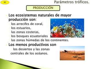  Los ecosistemas naturales de mayor
producción son:
◦ los arrecifes de coral,
◦ los estuarios,
◦ las zonas costeras,
◦ los bosques ecuatoriales
◦ las zonas húmedas de los continentes.
 Los menos productivos son
o los desiertos y las zonas
centrales de los océanos.
80
PRODUCCIÓN
 