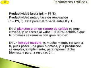  Productividad bruta (pB = PB/B)
 Productividad neta o tasa de renovación
(r = PN/B). Este parámetro varía entre 0 y 1,
 En el plancton o en un campo de cultivo es muy
elevada, y se acerca al valor 1 (100 %) debido a que
la biomasa se renueva con gran rapidez.
 En un bosque maduro es mucho menor, cercana a
0, pues posee una gran biomasa, y la producción
se emplea, simplemente, para reponer dicha
biomasa y para la respiración.
80
 