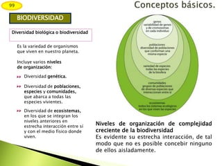 Diversidad biológica o biodiversidad
BIODIVERSIDAD
Niveles de organización de complejidad
creciente de la biodiversidad
Es evidente su estrecha interacción, de tal
modo que no es posible concebir ninguno
de ellos aisladamente.
Incluye varios niveles
de organización:
Diversidad genética.
Diversidad de poblaciones,
especies y comunidades,
que abarca a todas las
especies vivientes.
Es la variedad de organismos
que viven en nuestro planeta.
Diversidad de ecosistemas,
en los que se integran los
niveles anteriores en
estrecha interacción entre sí
y con el medio físico donde
viven.
99
 