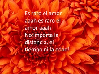 Labios rotos zoe. computacion