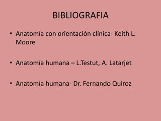 BIBLIOGRAFIA
• Anatomía con orientación clínica- Keith L.
Moore
• Anatomía humana – L.Testut, A. Latarjet
• Anatomía humana- Dr. Fernando Quiroz
 