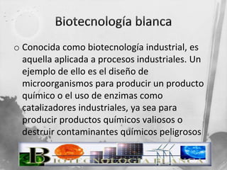 o Conocida como biotecnología industrial, es
aquella aplicada a procesos industriales. Un
ejemplo de ello es el diseño de
microorganismos para producir un producto
químico o el uso de enzimas como
catalizadores industriales, ya sea para
producir productos químicos valiosos o
destruir contaminantes químicos peligrosos
 