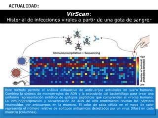 ACTUALIDAD:
VirScan:
Historial de infecciones virales a partir de una gota de sangre.”
Este método permite el análisis exhaustivo de anticuerpos antivirales en suero humano.
Combina la síntesis de microarreglos de ADN y la exposición del bacteriófago para crear una
uniforme representación sintética de epítopos peptídicos que comprenden el viroma humano.
La inmunoprecipitación y secuenciación de ADN de alto rendimiento revelan los péptidos
reconocidos por anticuerpos en la muestra. El color de cada célula en el mapa de calor
representa el número relativo de epítopos antigénicos detectados por un virus (filas) en cada
muestra (columnas).
 