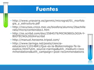Fuentes
• http://www.unavarra.es/genmic/microgral/01_morfolo
gia_y_estructura.pdf
• http://recursos.cnice.mec.es/biosfera/alumno/2bachille
rato/micro/contenidos1.htm
• http://es.scribd.com/doc/2584579/MICROBIOLOGIA-Y-
BIOTECNOLOGIA#scribd
• http://manuel.herasme.tripod.com/
• http://www.taringa.net/posts/ciencia-
educacion/11014841/Que-es-la-Biotecnologia-Te-la-
explico.html?utm_source=taringa&utm_medium=reco
mmendations&utm_campaign=post-recommendations
 