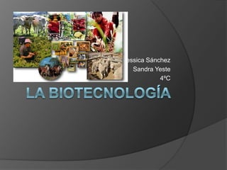 La biotecnología  Jessica Sánchez  Sandra Yeste 4ºC   