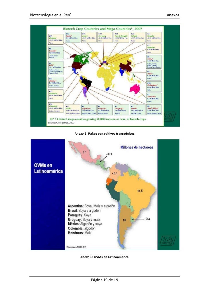Monografia biotecnologia