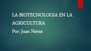 LA BIOTECNOLOGIA EN LA
AGRICULTURA
Por: Juan Navas
 