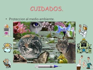 CUIDADOS.
• Proteccion al medio ambiente.

 